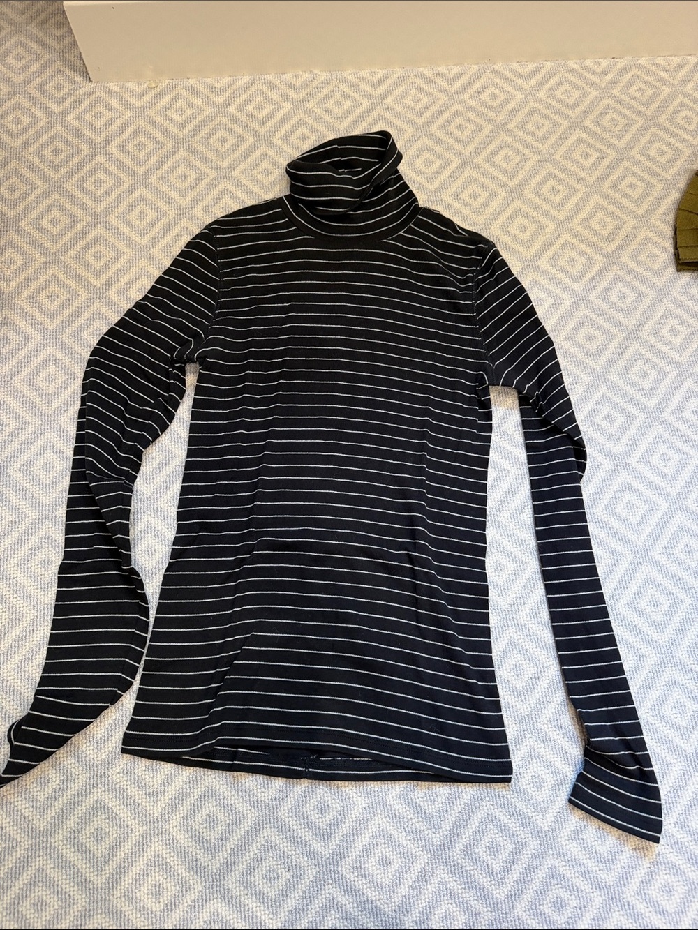 Everlane Black and White Striped Turtleneck